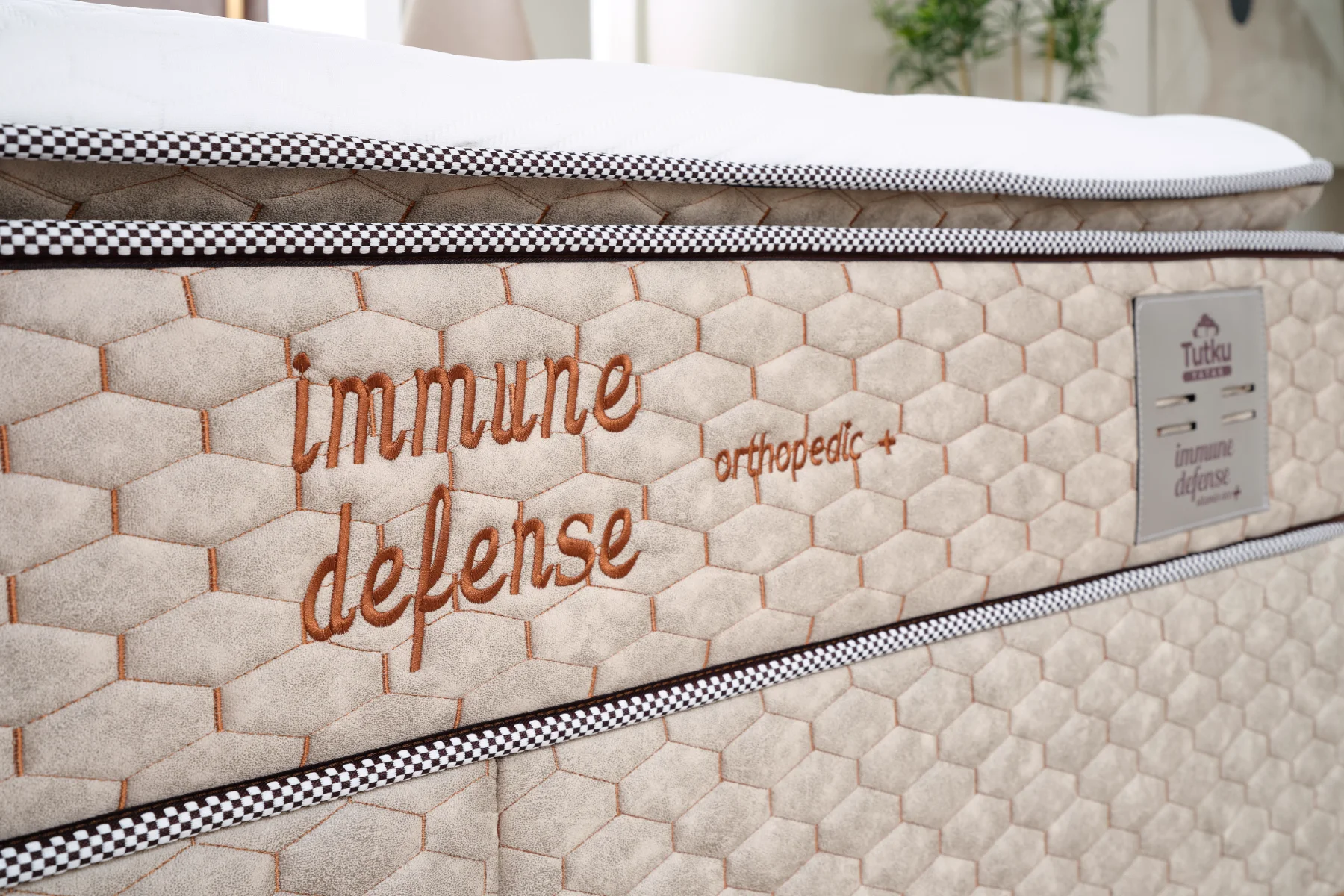 IMMUNE DEFENSE  (10) kopya.webp